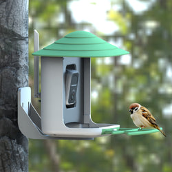 Bird feeder with camera and AI bird recognition for the garden